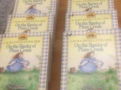 Chapter Books-Some New, Some Used