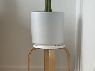 Cactus + Vase + Stand