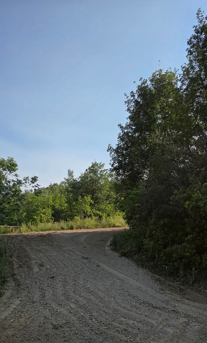 Main image 12