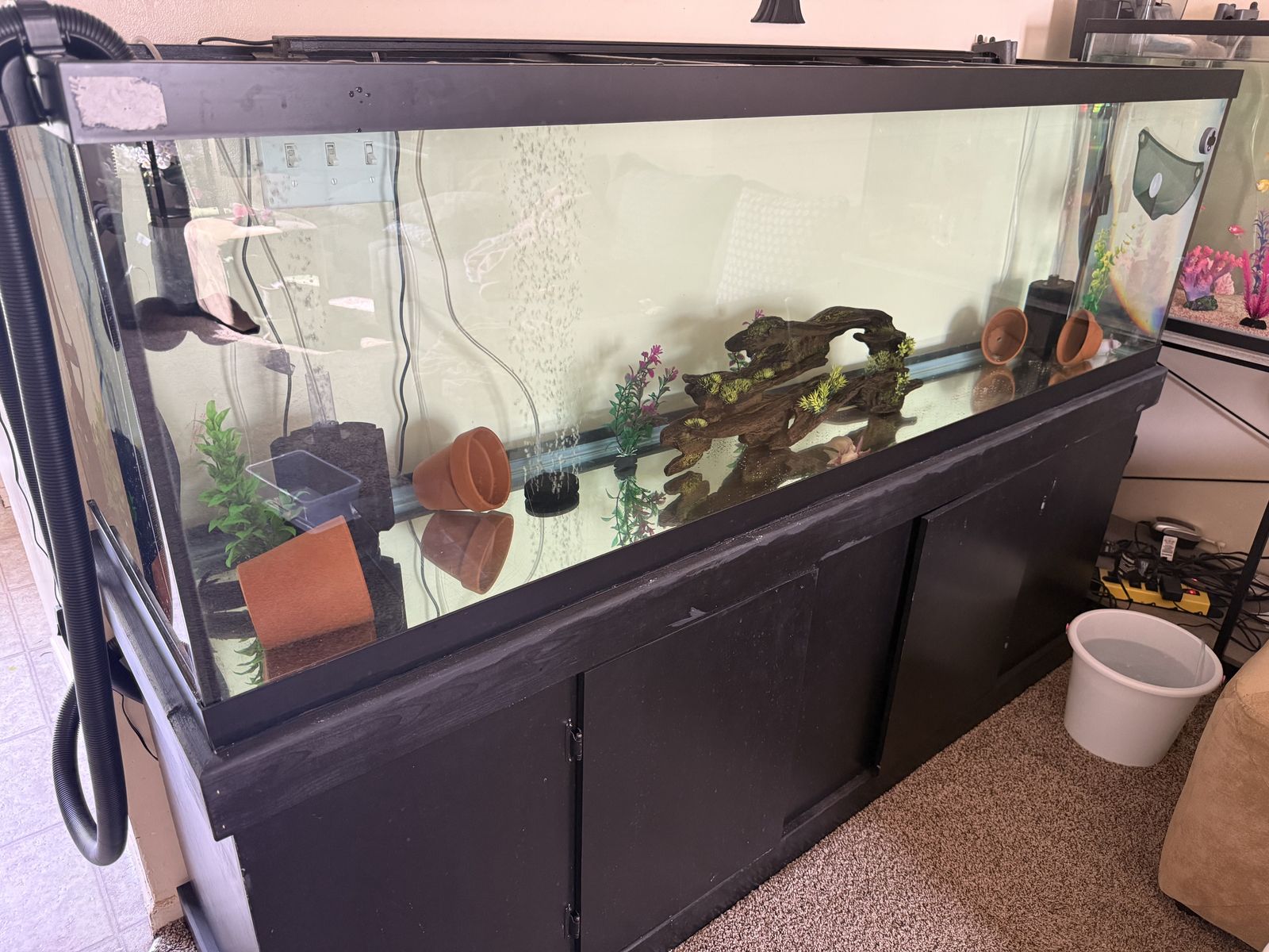 125 Gallon Tank With Stand