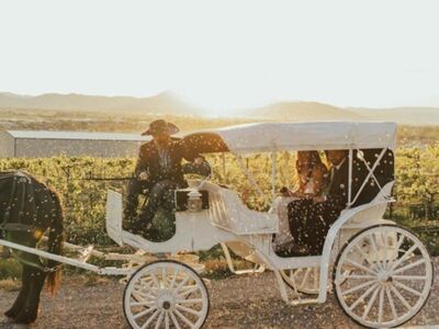 wedding carriage/people hauler
