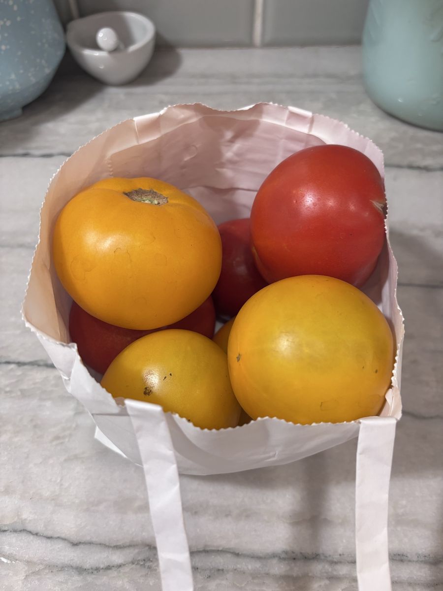 Homegrown Organic Tomatoes Yellow And Red