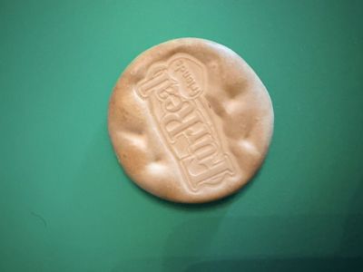 FurReal Squawkers McCaw cracker Treat