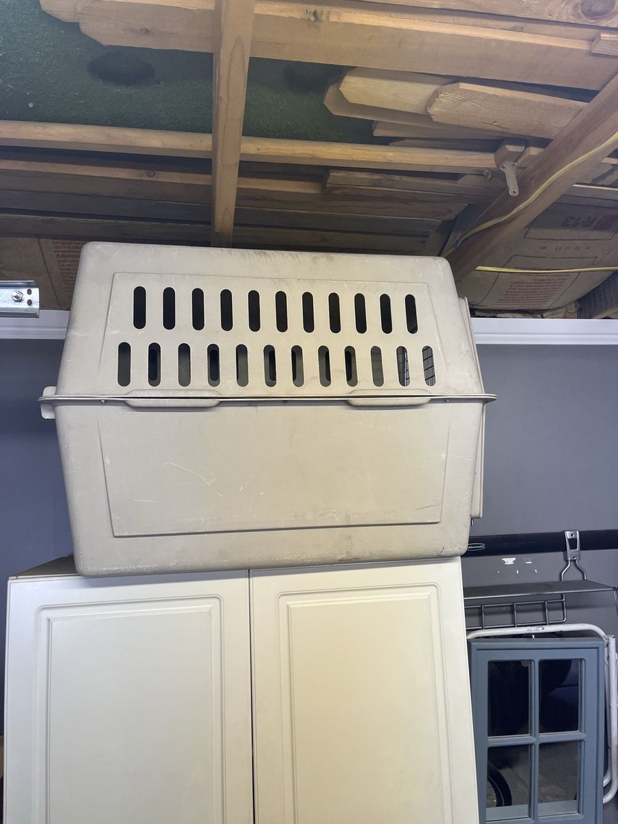 Medium Plastic Pet Kennel Dog Crate