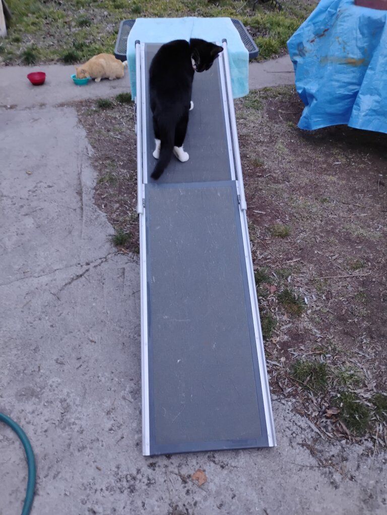 Telescoping Dog/Pet Ramp Aluminum 6Foot