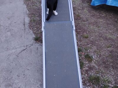Telescoping Dog/Pet Ramp Aluminum 6Foot