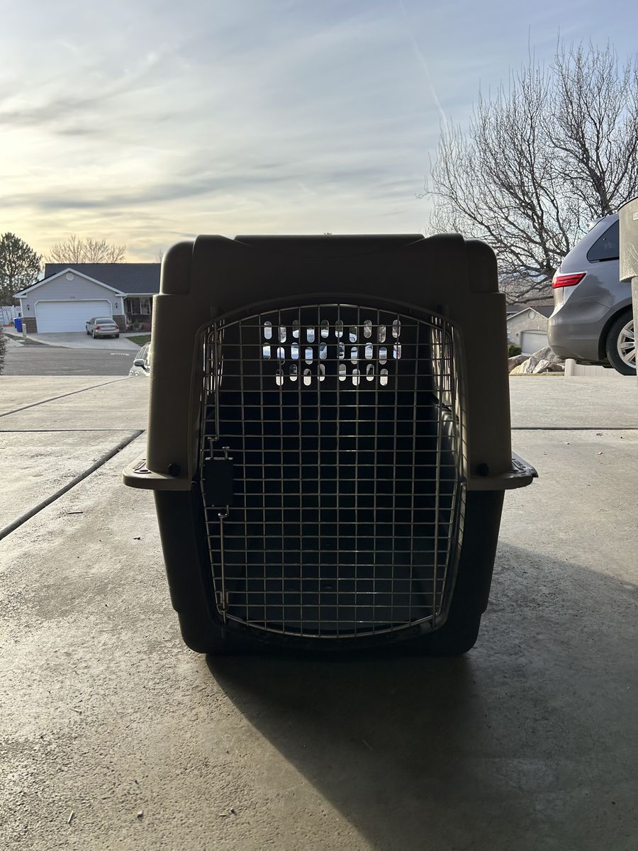 Large Dog Crate/kennel