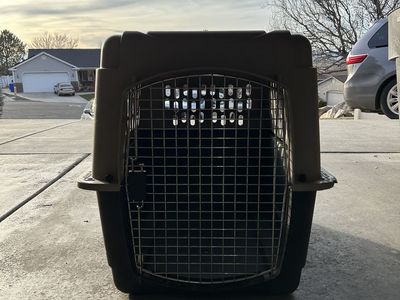 Large Dog Crate/kennel