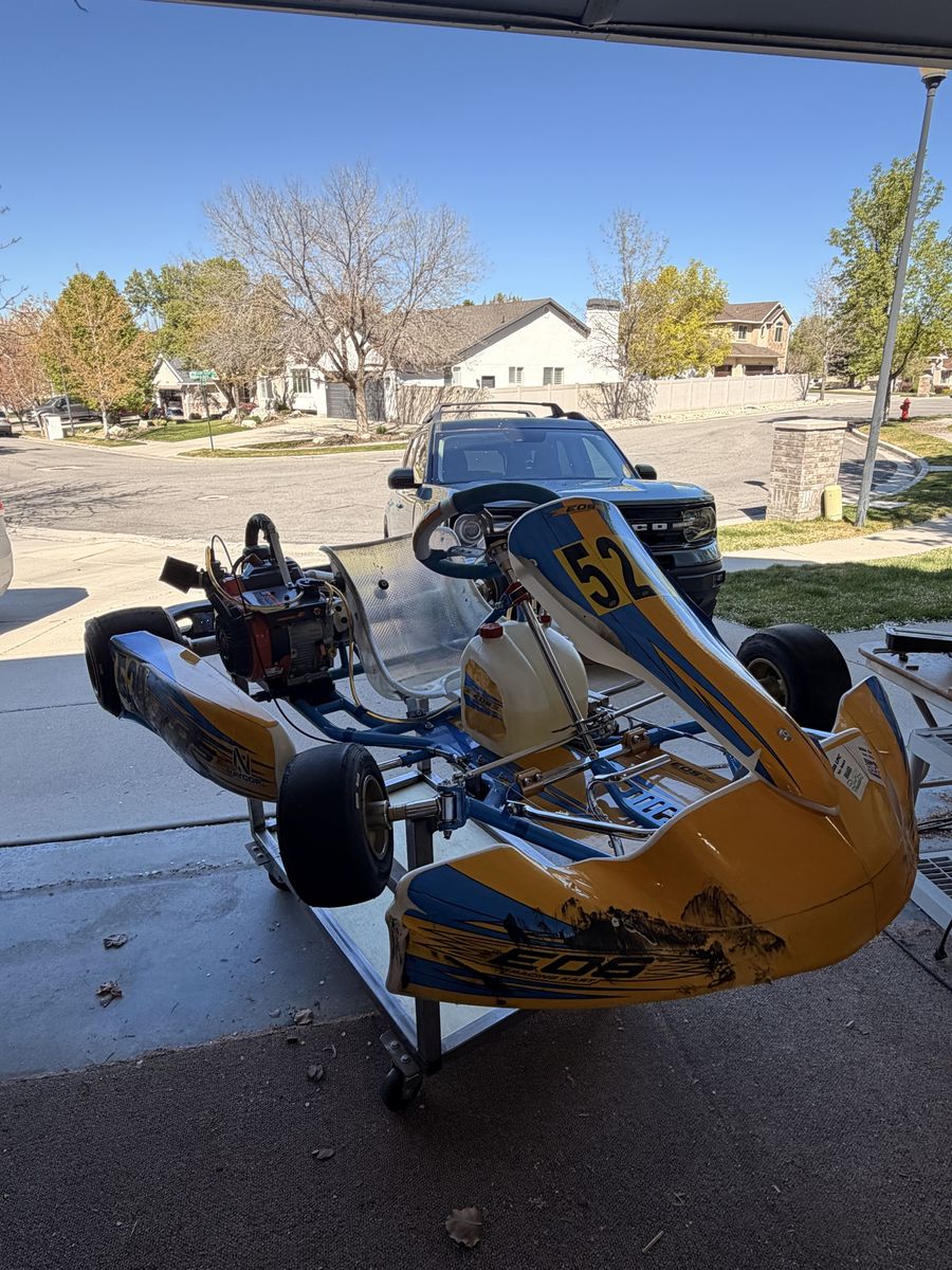 EOS Racing Kart - 4 Cylce, Briggs & Stratton LO206
