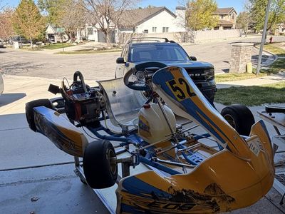 EOS Racing Kart - 4 Cylce, Briggs & Stratton LO206