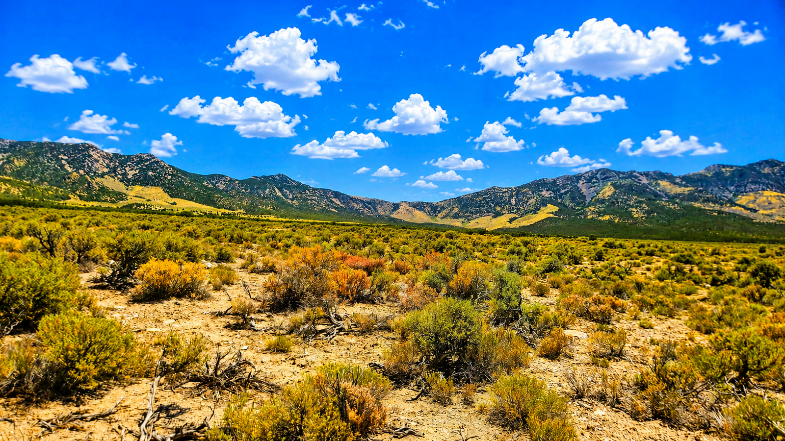 10 Acres in Montello NV | Off-Grid Land Near BLM For Sale