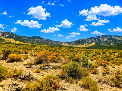 10 Acres in Montello NV | Off-Grid Land Near BLM For Sale