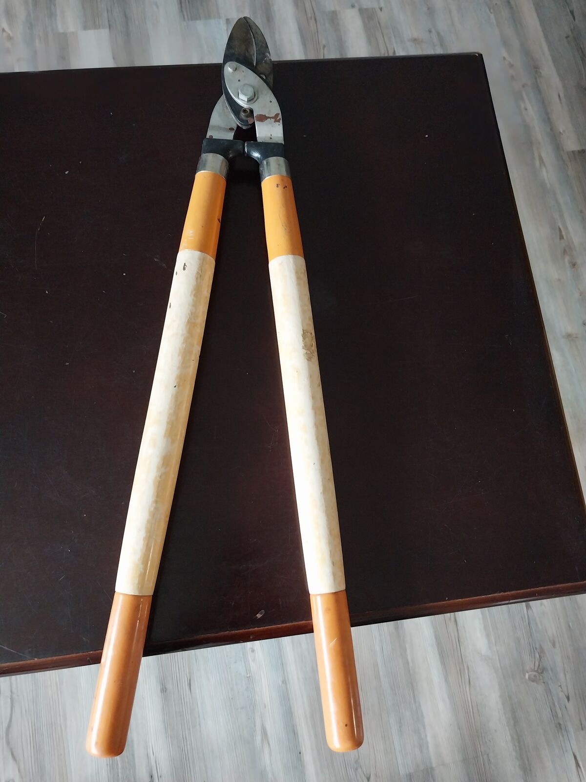 Loppers, lopping shears