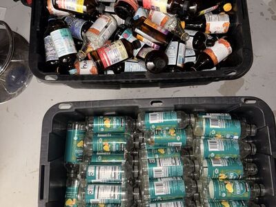 Free Empty Kombucha Glass Bottles