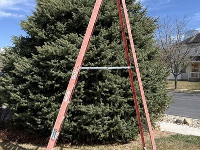 12ft fiberglass Werner ladder
