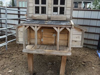 Chicken Coop