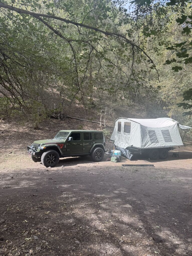 2024 Jumping Jack Blackout 6x12x12