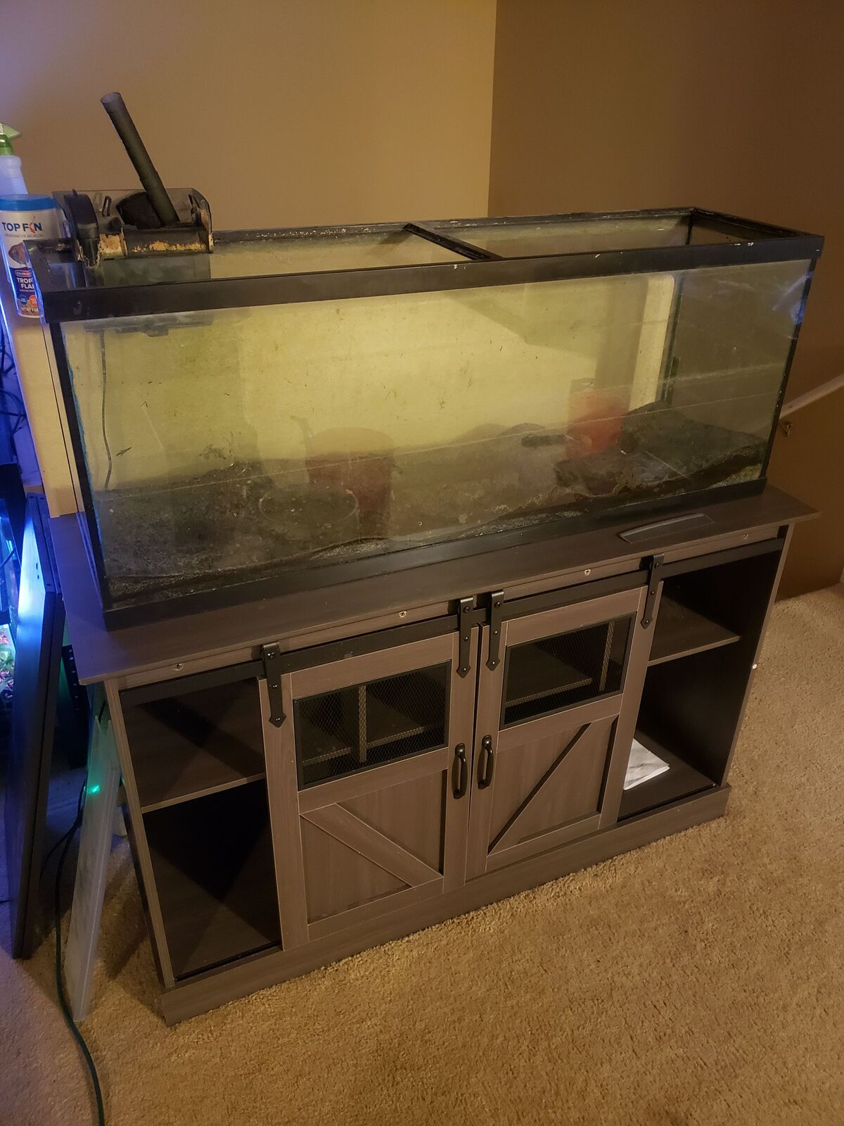 50-gallon aquarium + stand