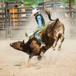 Heber City, Utah PRCA Mountain Valley Stampede Rodeo Tickets