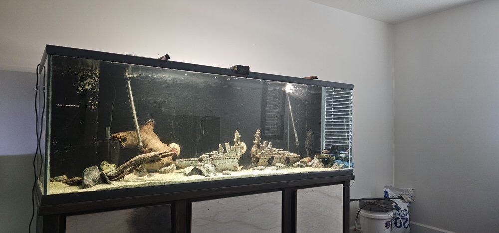 180 gallon tank and stand