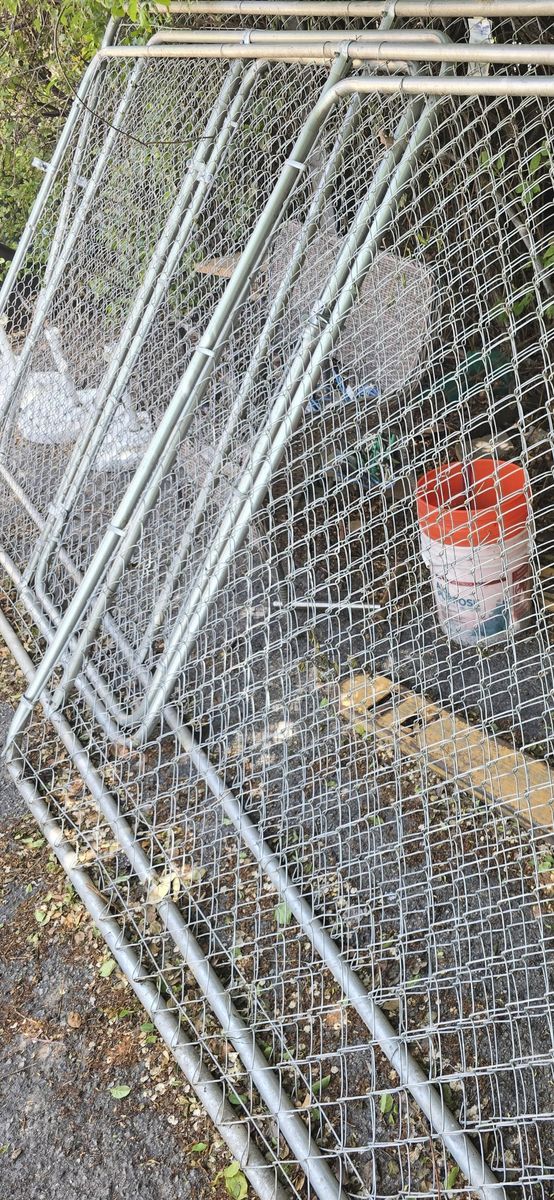 dog pen 6x6x12