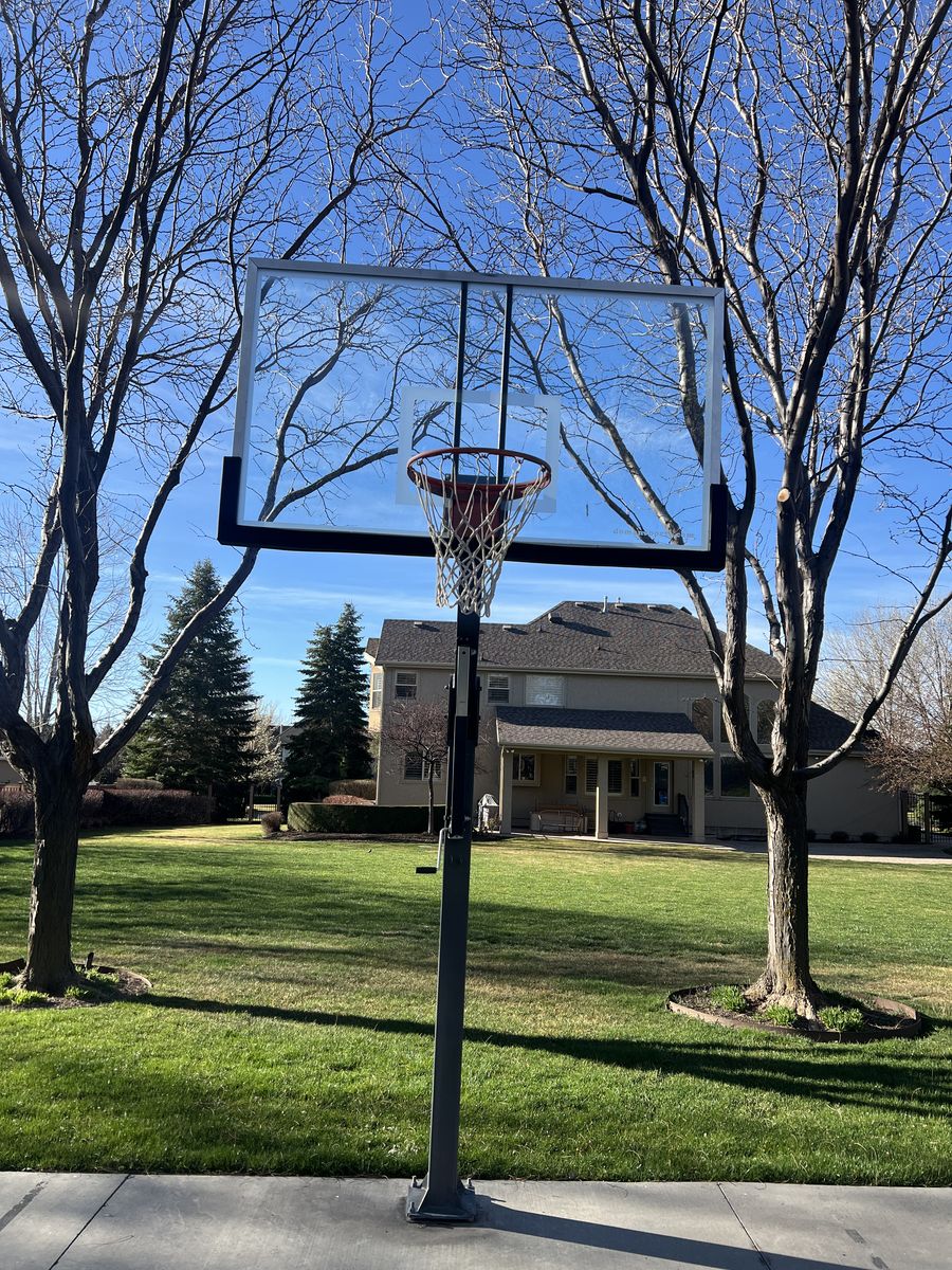 Dominator Adjustable Basketball Hoop