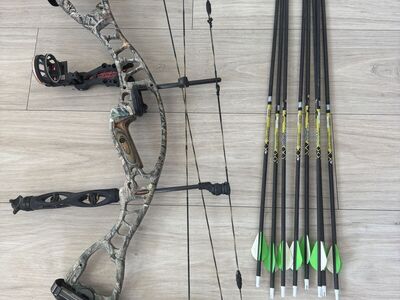 Hoyt Bow And Arrows