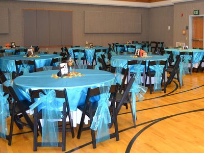 100 blue Organza chair sashes