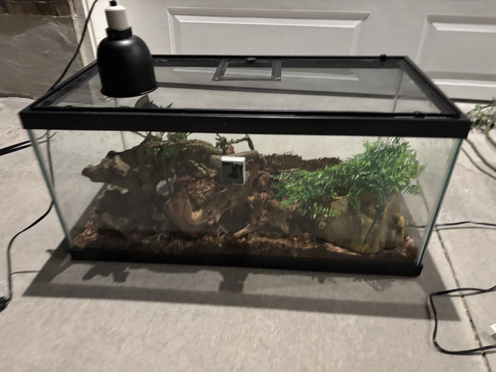 40-Gallon Reptile Starter Kit – Complete Setup!