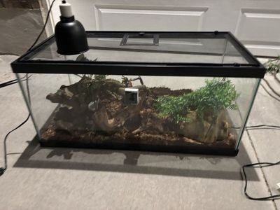 40-Gallon Reptile Starter Kit – Complete Setup!