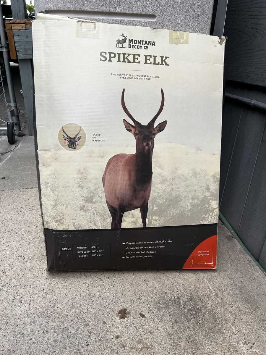 Montana spike elk decoy