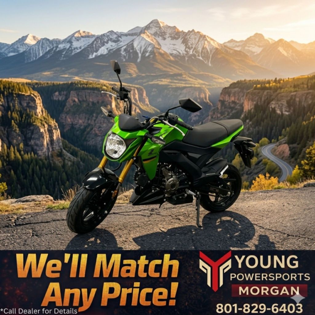 2024 Kawasaki Z125 PRO
