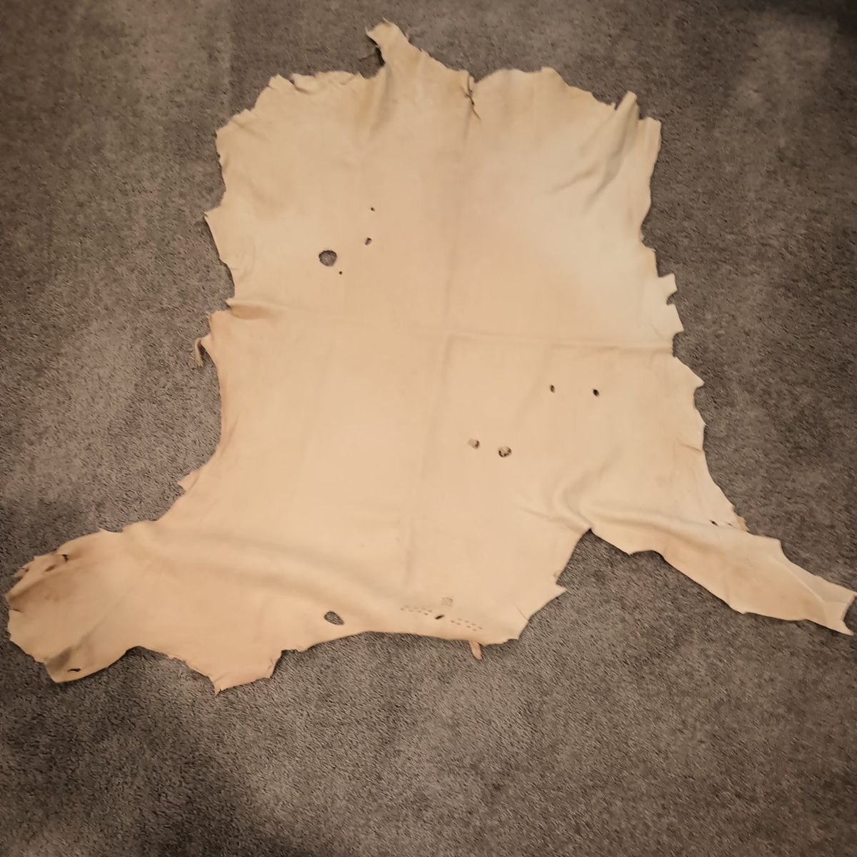 Tanned deer hide