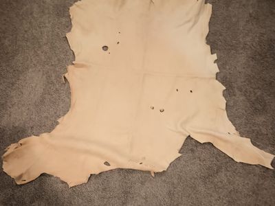 Tanned deer hide