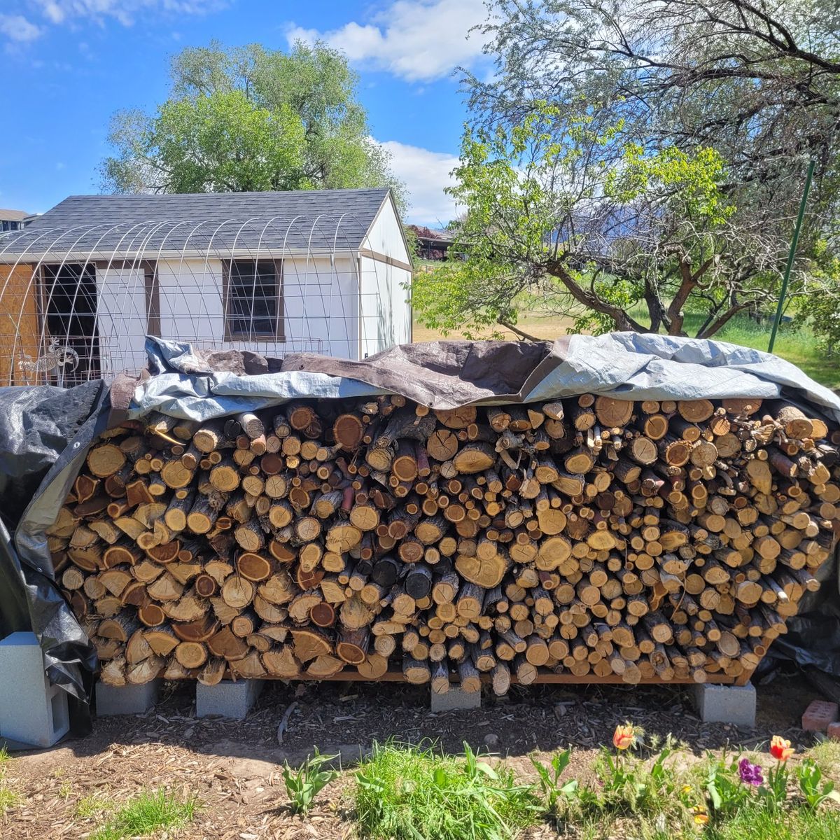 firewood and storage