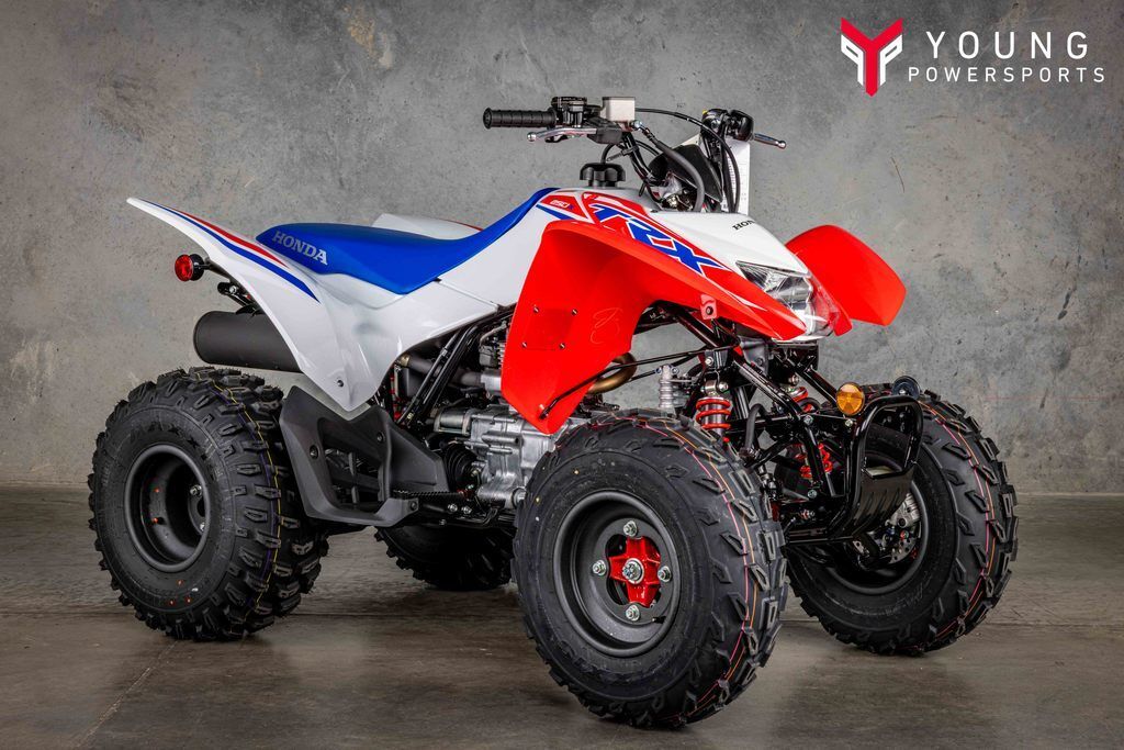 2026 Honda® TRX250X