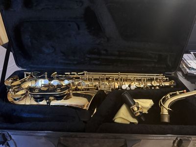 Vinci Alto Saxophone – Good Starter Horn