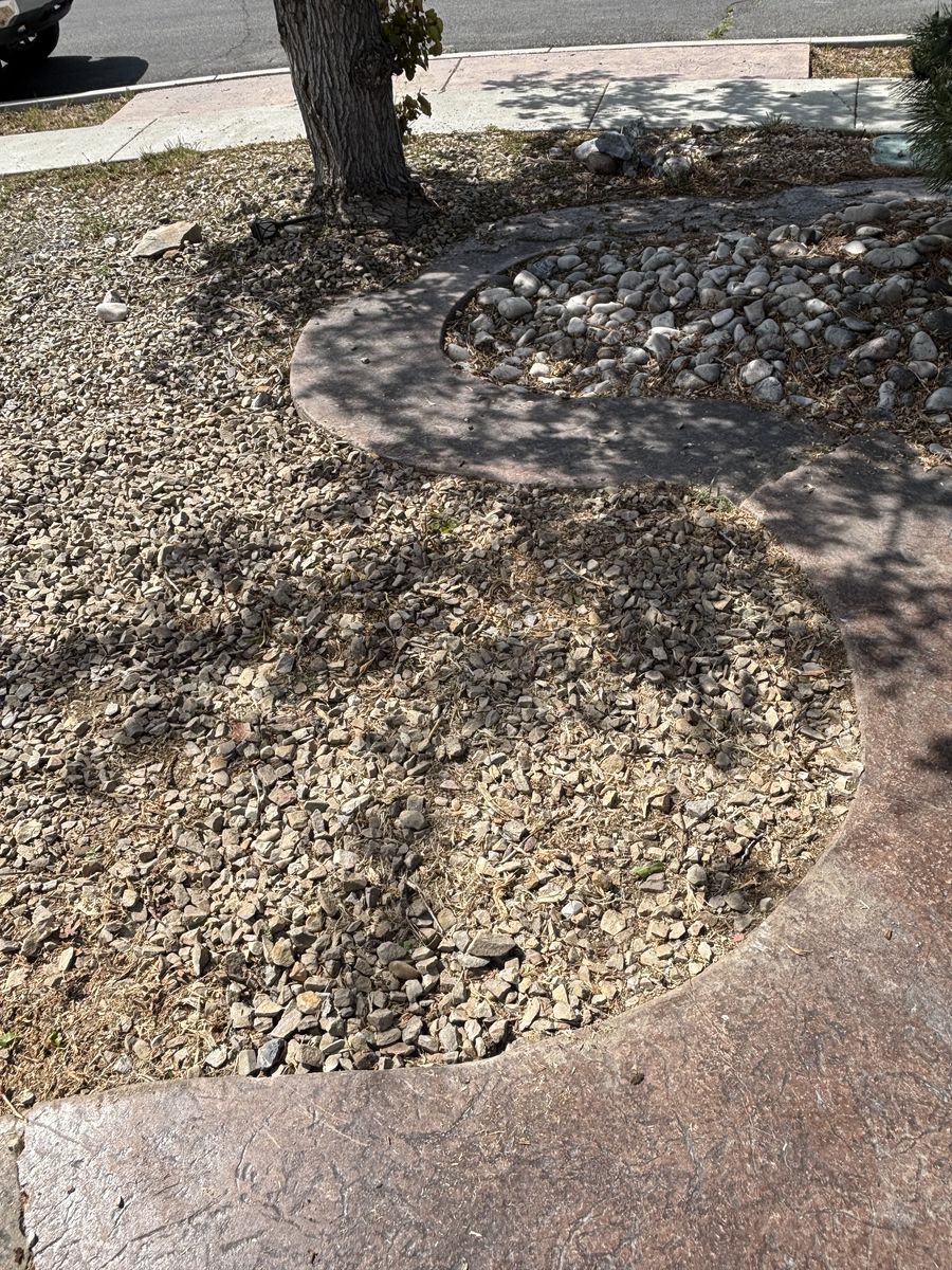 Main image 7