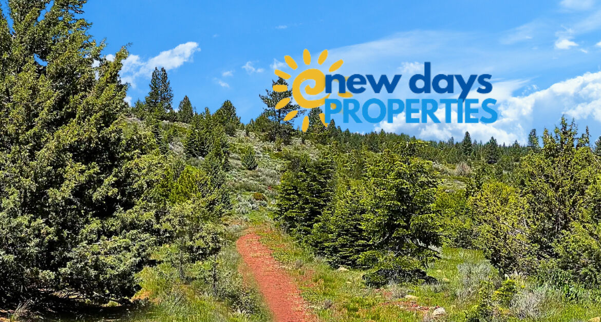 1.84-Acre Wooded Lot for Sale in Alturas, CA