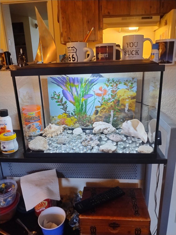 top fin 5 gallon starter kit Plus