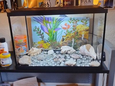 top fin 5 gallon starter kit Plus