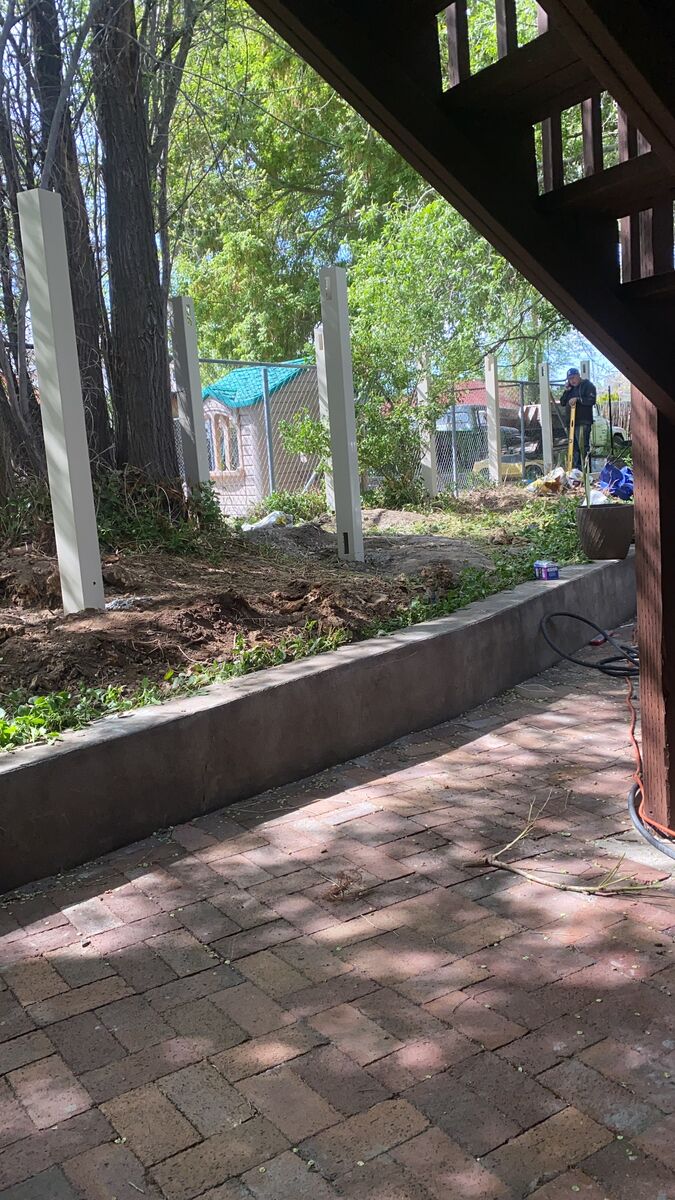 Tree Services | Tree Trimming | Tree Removal | Stump Removal | Tree Clean up | And More!