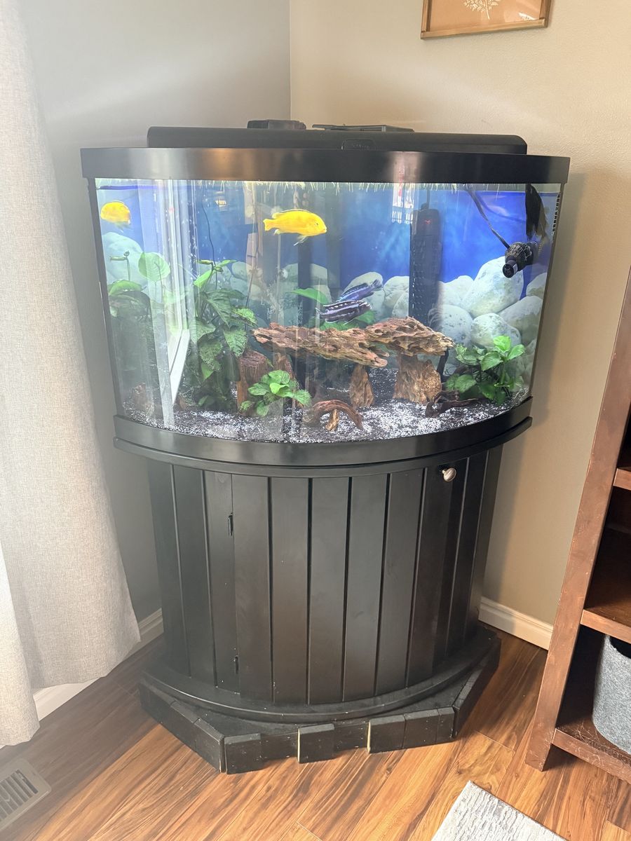 Fish Tank, Stand and Equipment