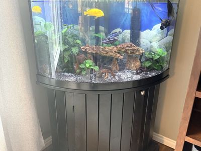 Fish Tank, Stand and Equipment