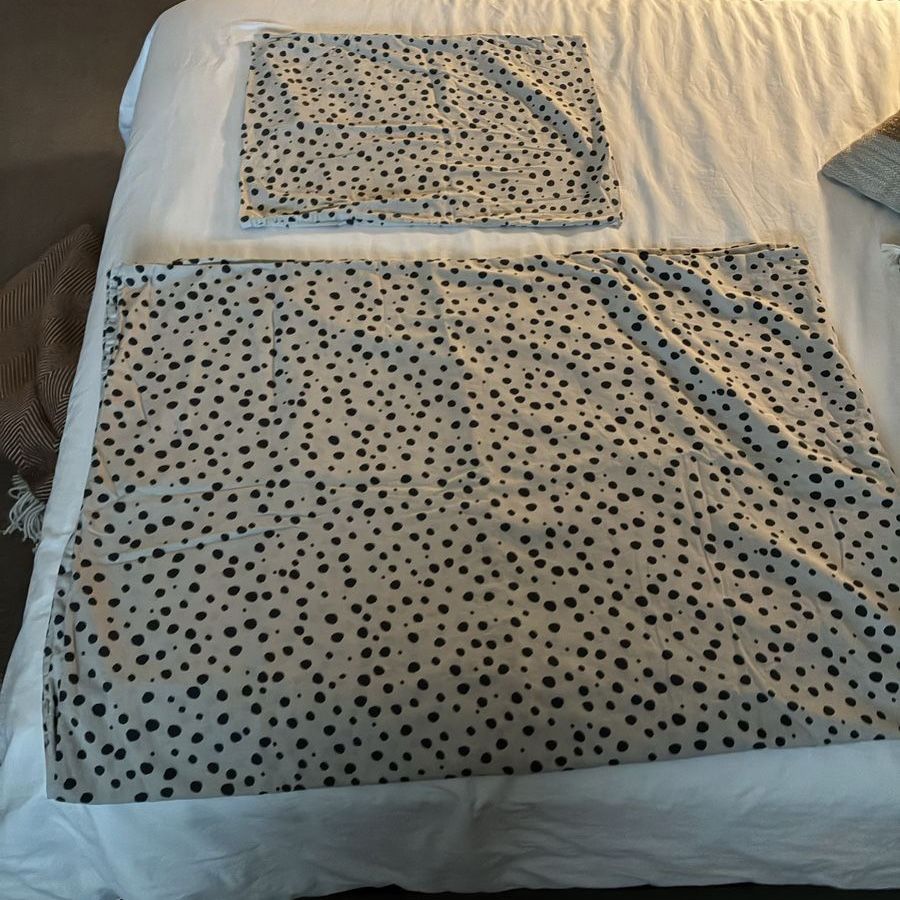 H&M twin duvet cover set