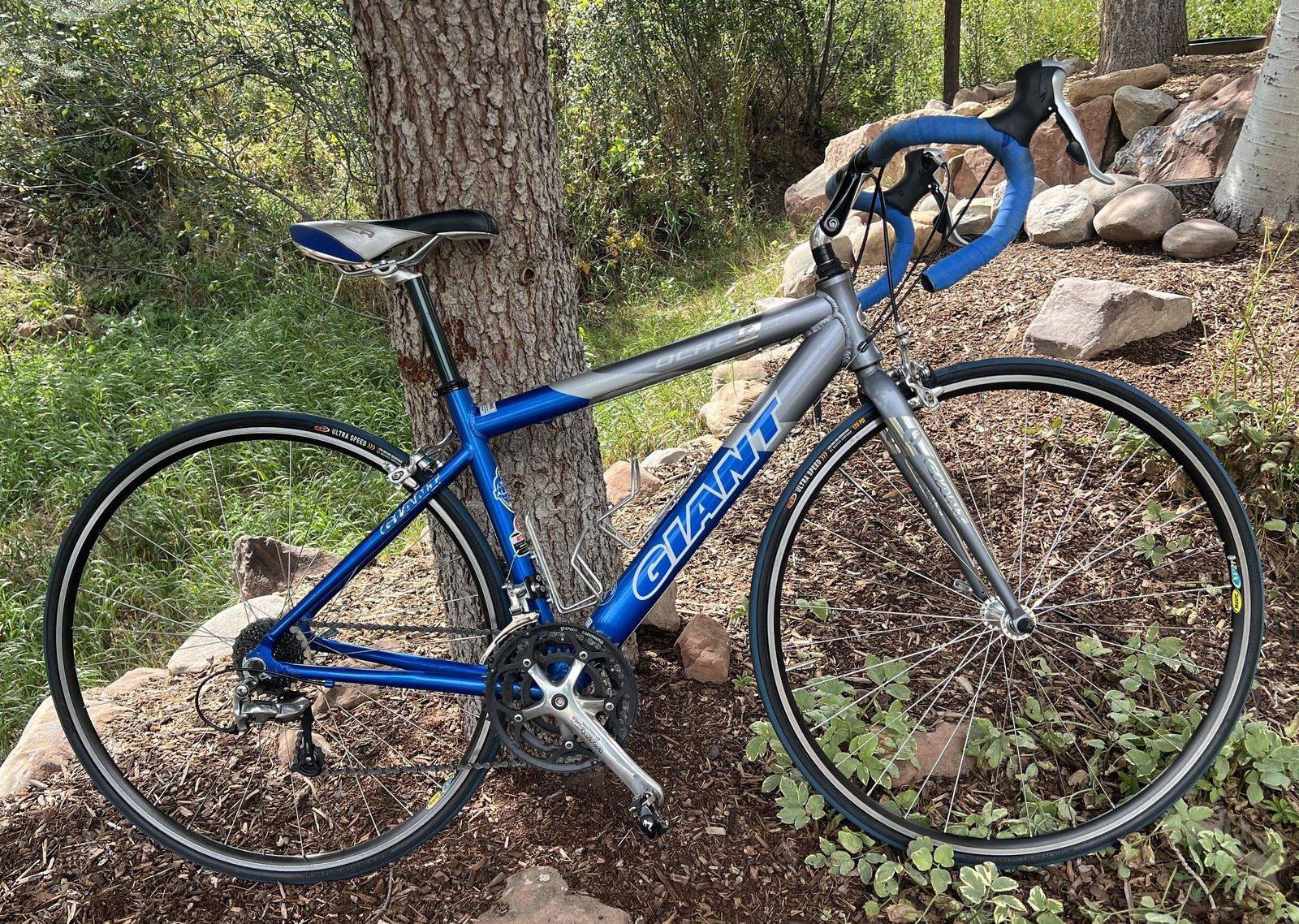 EXCELLENT CONDITION! 2008 Giant OCR 2 Small Aluminum Road Bike