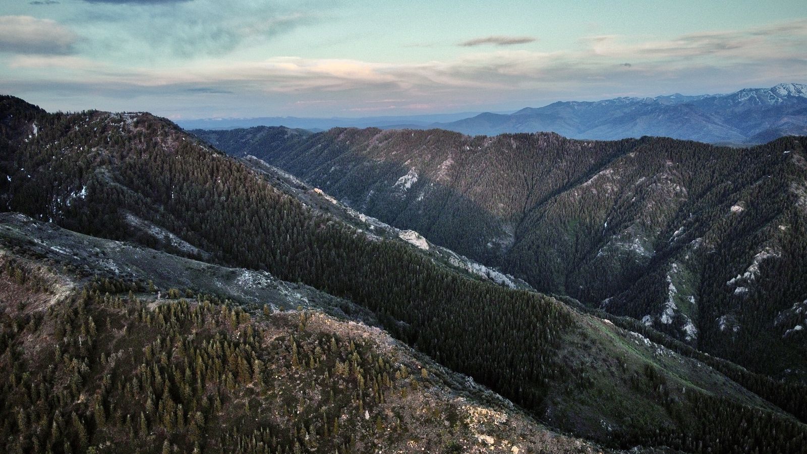 Main image 6