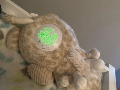 Dreamgro lullaby protector soother