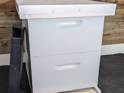 beekeeping beehive kit for sale 2026 bee hive bees