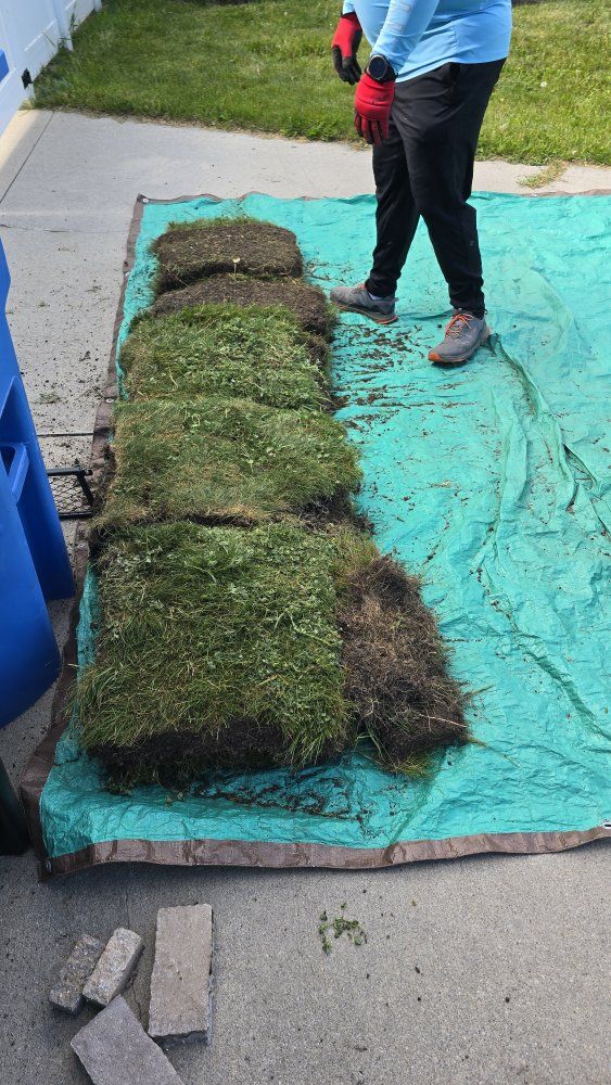 free sod